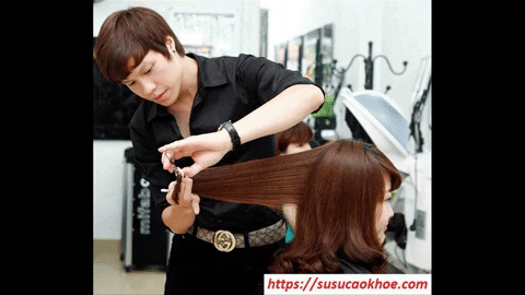 susucaokhoe giphyupload susucaokhoe giaimagiacmo GIF