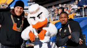 College Football GIF by Miami Hurricanes