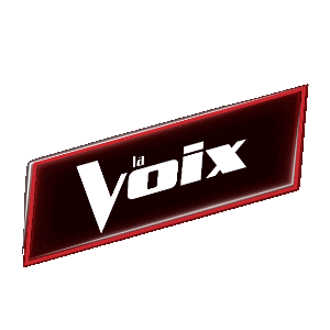the voice logo Sticker by La Voix