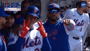 Home Run Celebration GIF by New York Mets