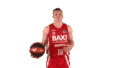 Liga Endesa Basketball Sticker by ACB