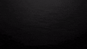 Germany Fitness GIF by RENPHO