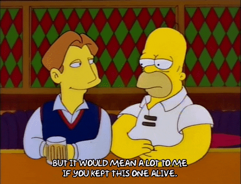 homer simpson GIF