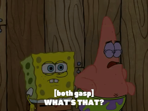 season 7 the curse of bikini bottom GIF by SpongeBob SquarePants