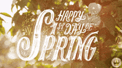 Hallmark Ecards Springtime GIF by Hallmark Gold Crown