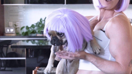 Youtube Halloween GIF by tyler oakley