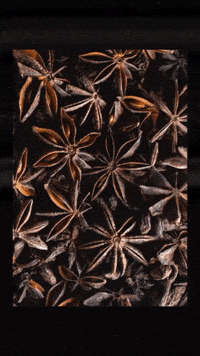 Halloween Cheers GIF by Art in the Age Spirits