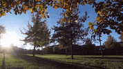 websteru relax quad webster websteru GIF