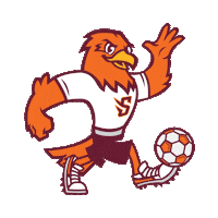 River Hawks Soccer Sticker by Susquehanna University