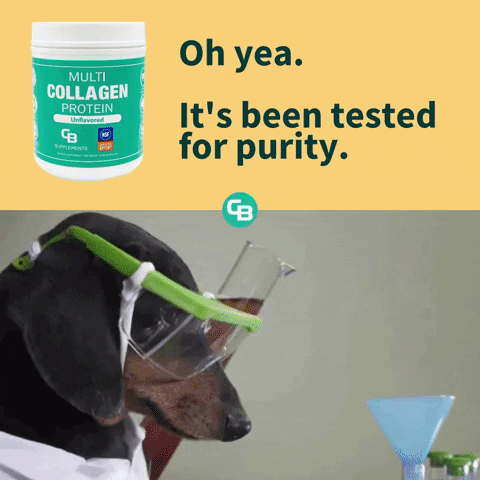 cbsupplements giphygifmaker GIF