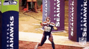 Seattle Seahawks Football GIF by NFL
