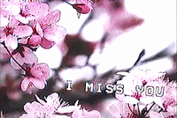 glitchedmemories  GIF