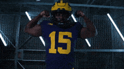 Go Blue GIF by Michigan Athletics