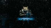 Taika Waititi GIF by Xbox