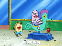 season 6 GIF by SpongeBob SquarePants