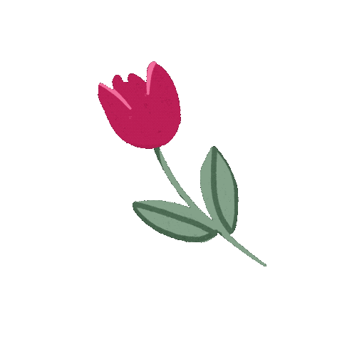 Tulip Sticker