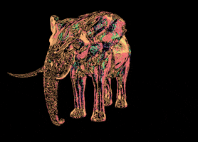 Processing Elephant GIF by Adam Ferriss