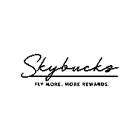 Frequent Flyer Fly Sticker by Airlink