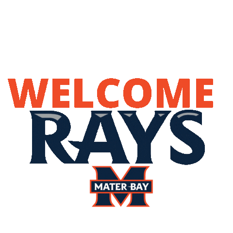 Rays Sticker by Mater Bay