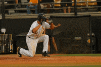 SouthernMissAthletics celebration baseball picture home run GIF