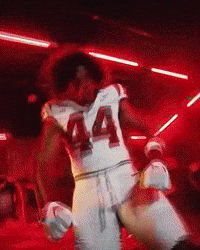 Notre Dame Tolo GIF
