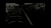 Video Art Glitch GIF by masaki nakamura