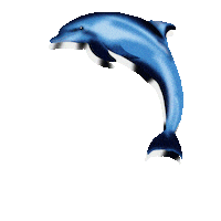 Dolphin Sticker by ImPulsTanz – Vienna International Dance Festival