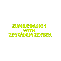 didemzeybek training zumba zumbafitness didemzeybek Sticker