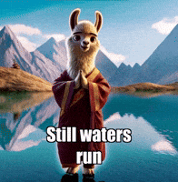 Mountain Wisdom GIF by dalaillamazen