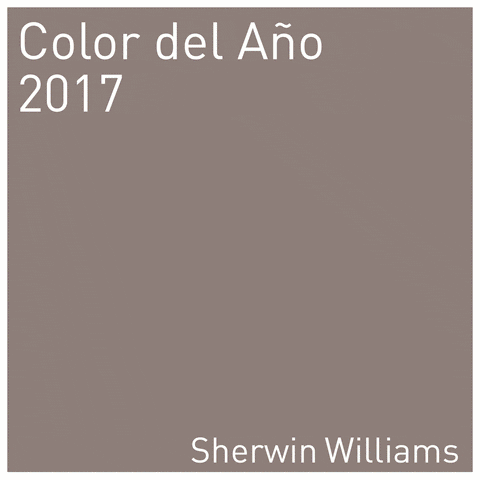 SherwinWilliansEcuador giphyupload GIF