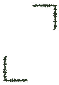 intujiena illustration nature green frame Sticker