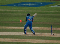 Mumbai Indians India GIF