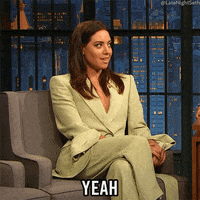 Seth Meyers Lol GIF by Late Night with Seth Meyers