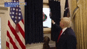 Donald Trump President GIF