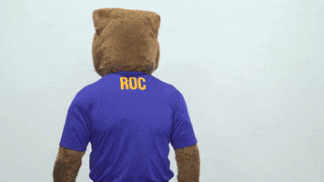 GIF by Pitt Panthers