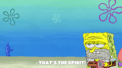 season 9 GIF by SpongeBob SquarePants