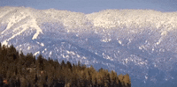 nevada GIF