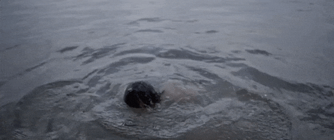 aftershock GIF by Cash Cash