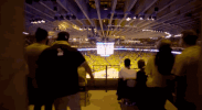 GIF by Golden State Warriors