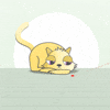 Cat Kitty GIF by Flow