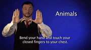 sign language GIF by Sign with Robert
