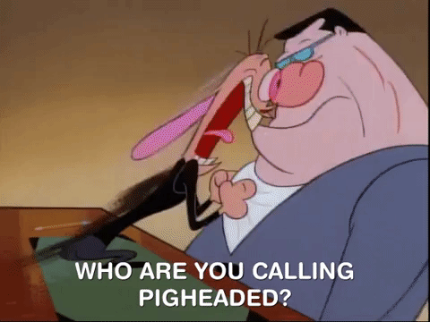 ren and stimpy nicksplat GIF