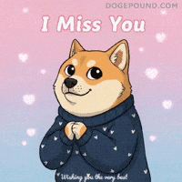 Shiba Inu Love GIF by Doge Pound