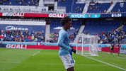Happy Dance GIF by NYCFC