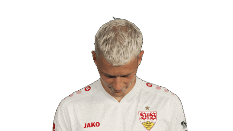 Look Up Vfb Stuttgart Sticker by Bundesliga