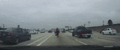 viralhog wtf viralhog hitchhiker walking on highway GIF