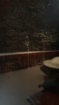 March Snow Arrives in Fort Collins, Colorado