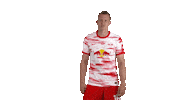 Football Sport Sticker by RB Leipzig