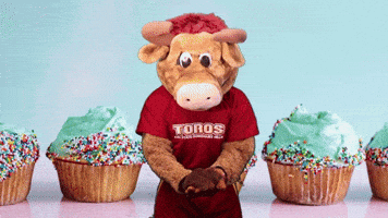 Birthday Celebrate GIF by CSUDHTeddyToro