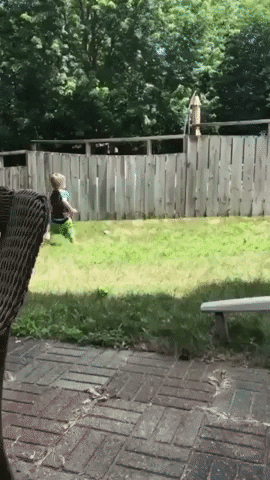 jermbly giphyupload GIF